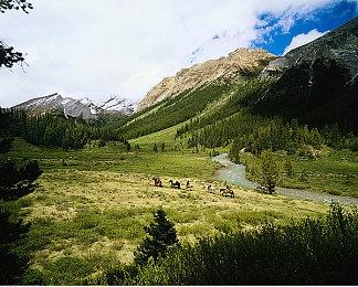 收购案再加码 微软为收购动视暴雪加价超420亿元